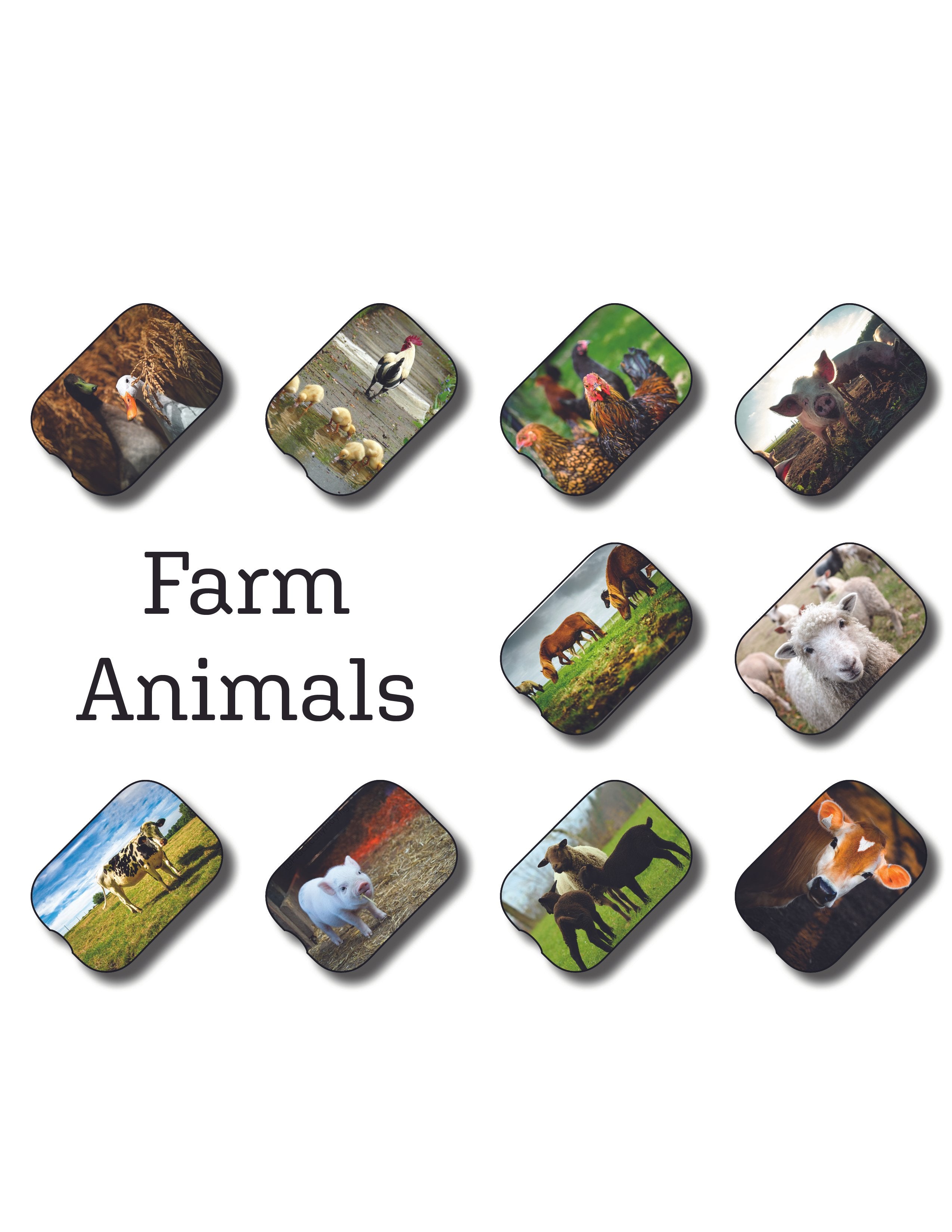 Farm Animal Insert Pack – Practically Playing
