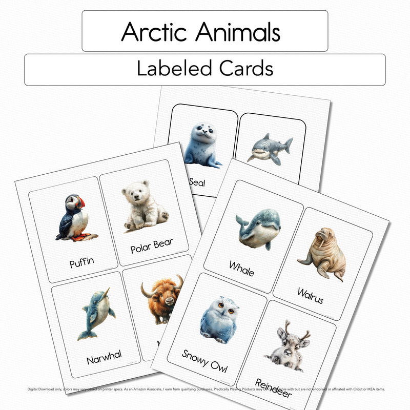 Arctic Animals - 10 Three-Part Cards