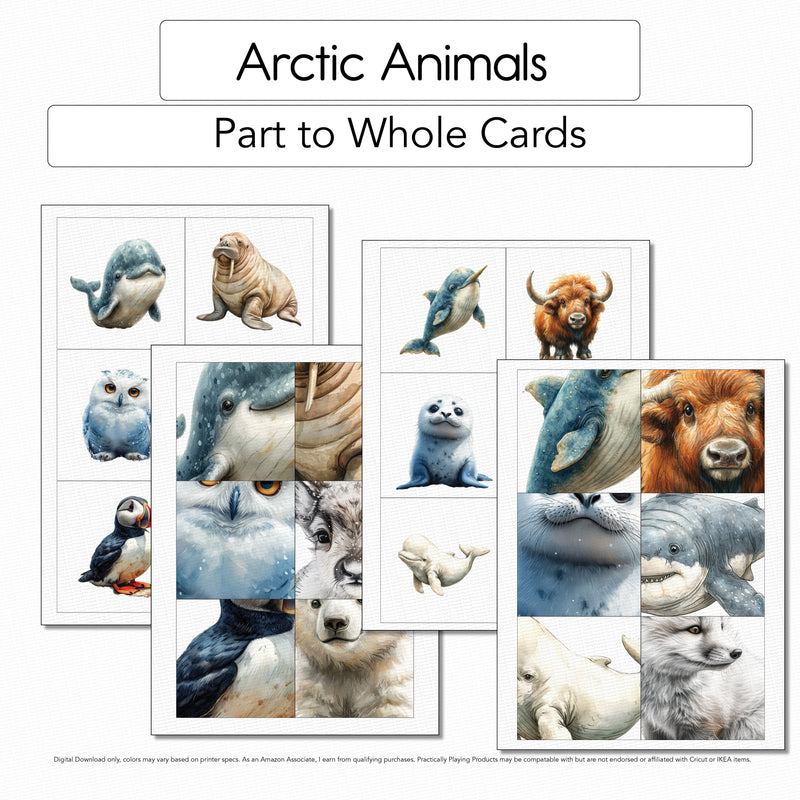 Arctic Animals - 12 Part to Whole Matching Cards