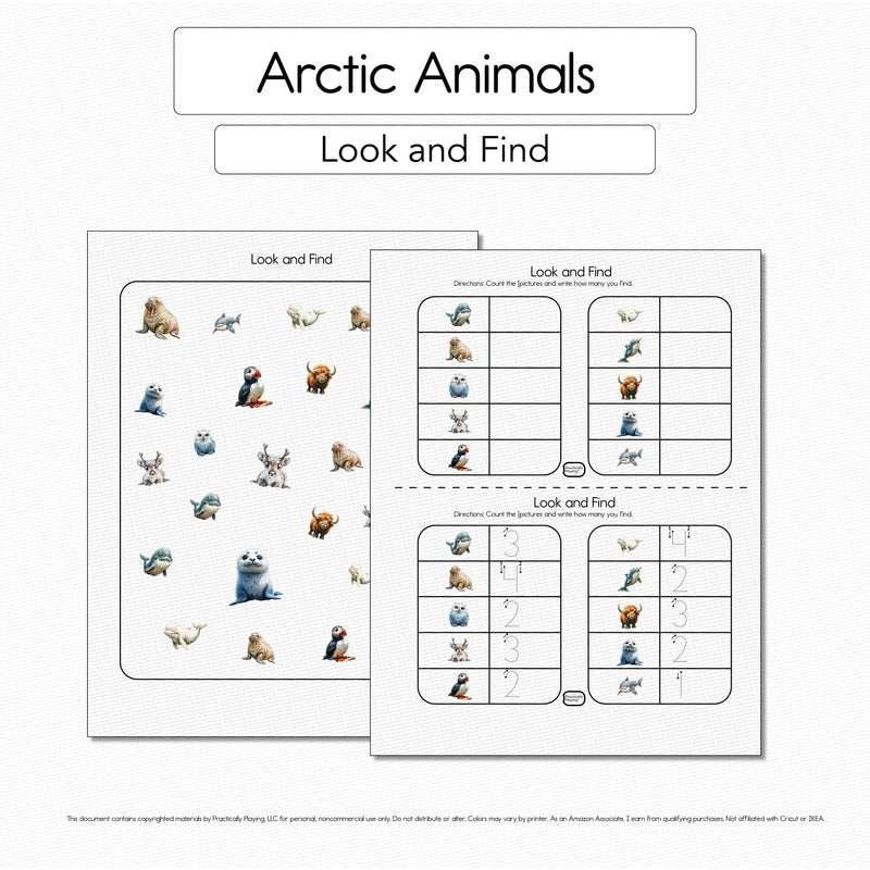 Arctic Animals - 10 Look and Find
