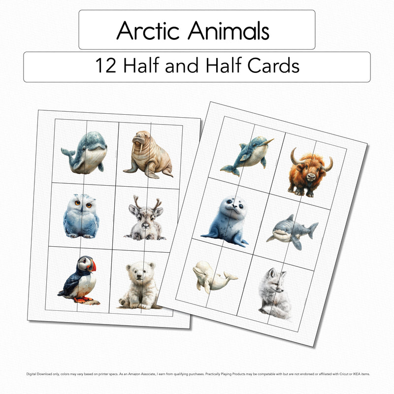 Arctic Animals - 12 Half and Half cards