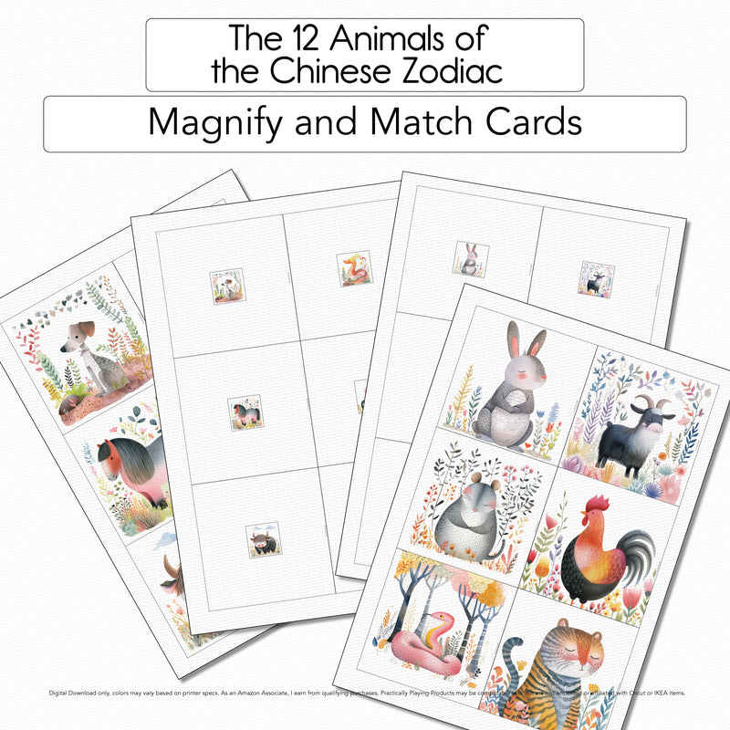 The 12 Animals of the Chinese Zodiac - 12 Magnify and Match Cards