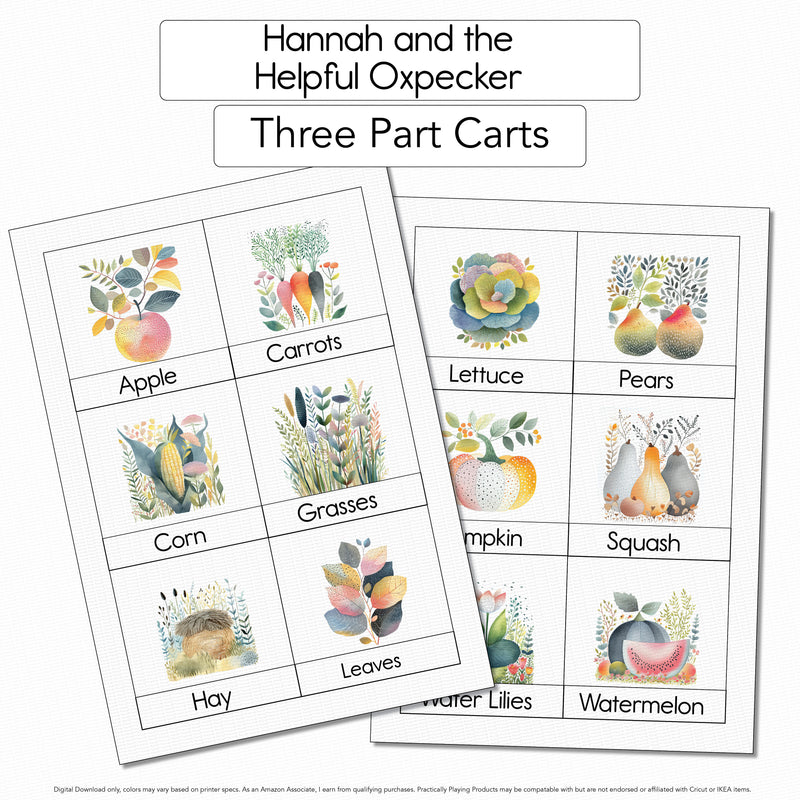 Hannah and the Helpful Oxpecker - Three-Part Cards PDF_Folders