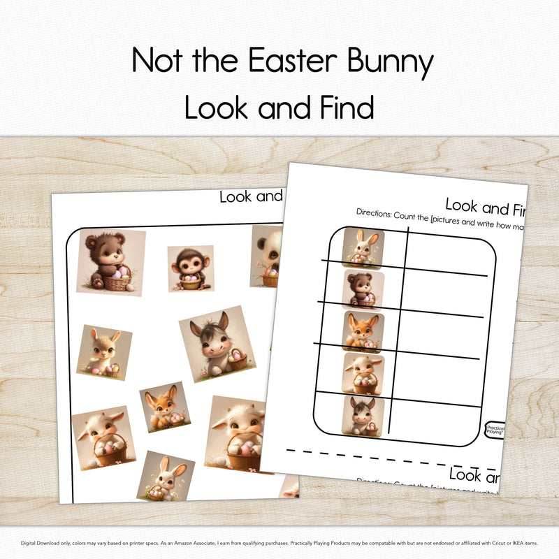 Not the Easter Bunny - Look and Find