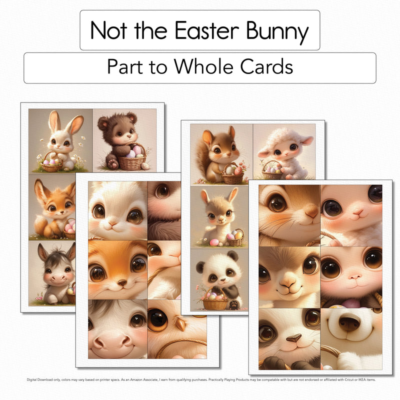 Not the Easter Bunny - Part to Whole Matching Cards