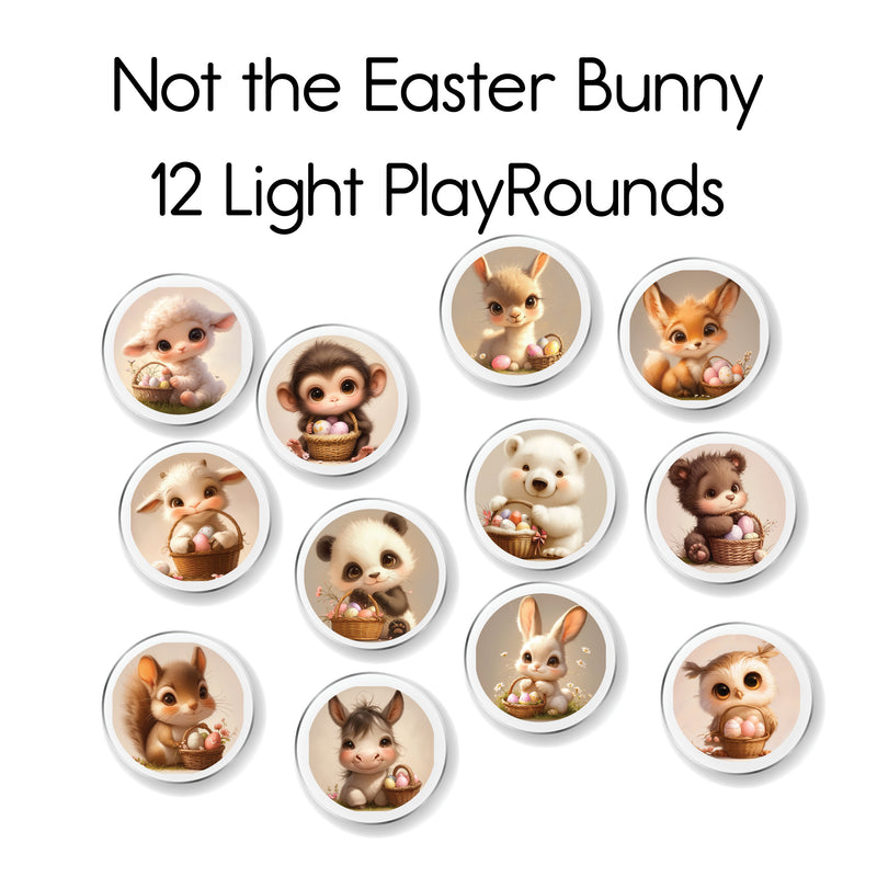 Not the Easter Bunny - Light PlayRound 12 Pack