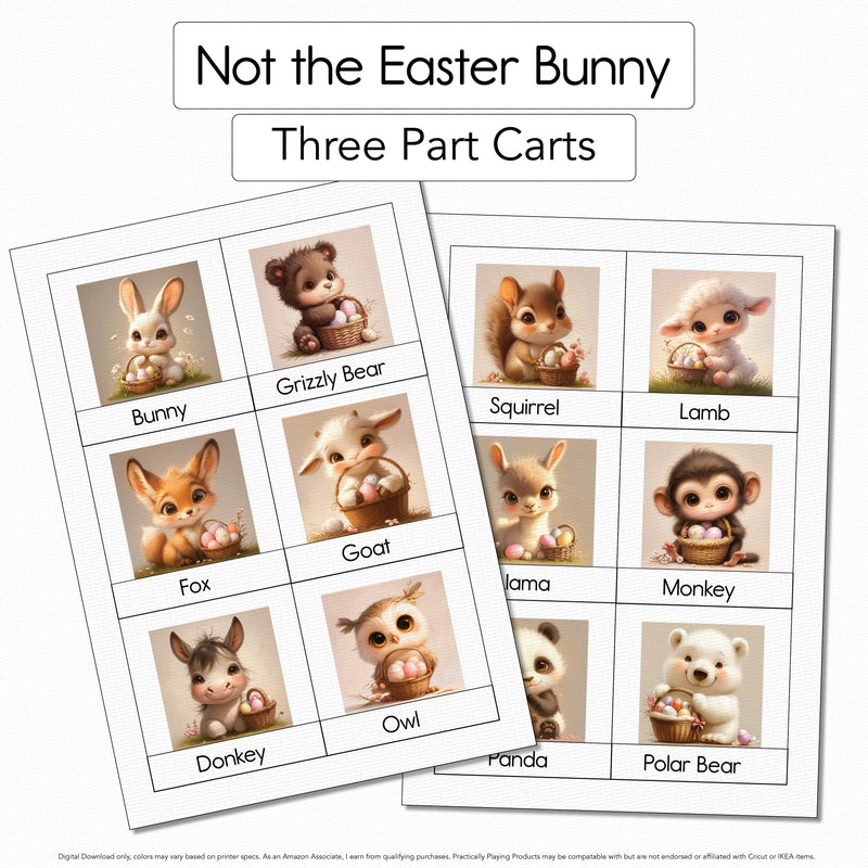 Not the Easter Bunny - Three-Part Cards - 12 Pack