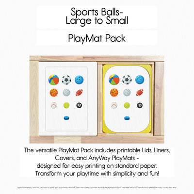Sports Balls - Ten Card PlayBoard