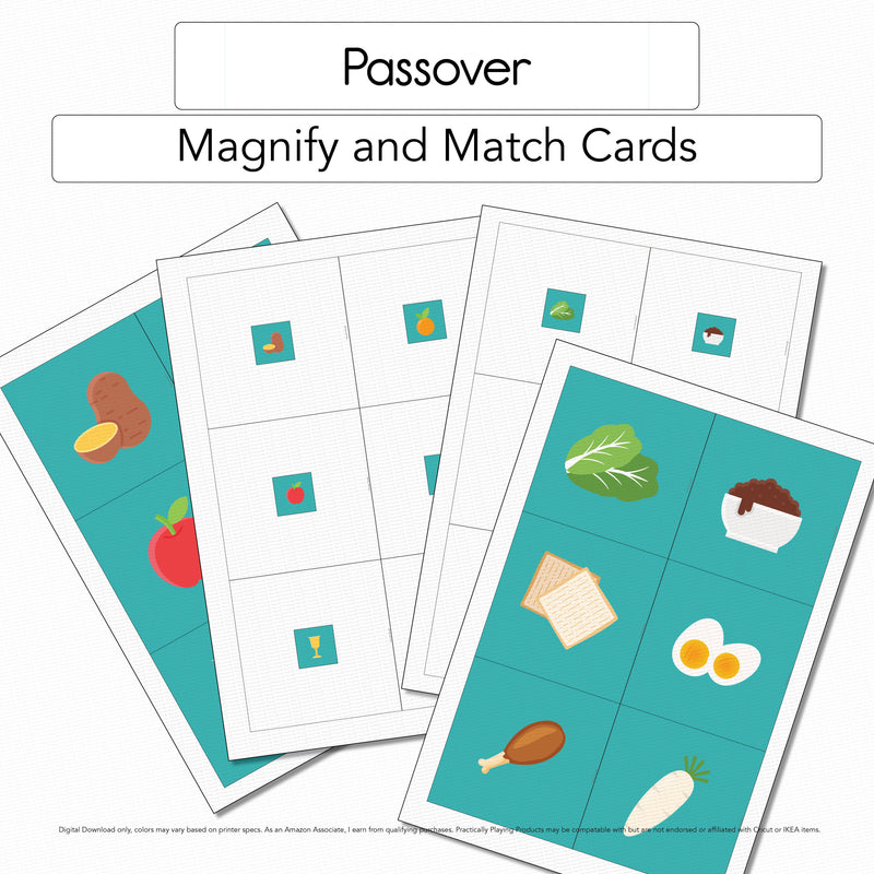Passover - Magnify and Match Cards