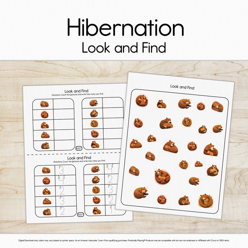 Hibernation - Look and Find