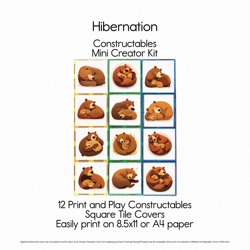 Hibernation - Constructables Mini Creator Kit