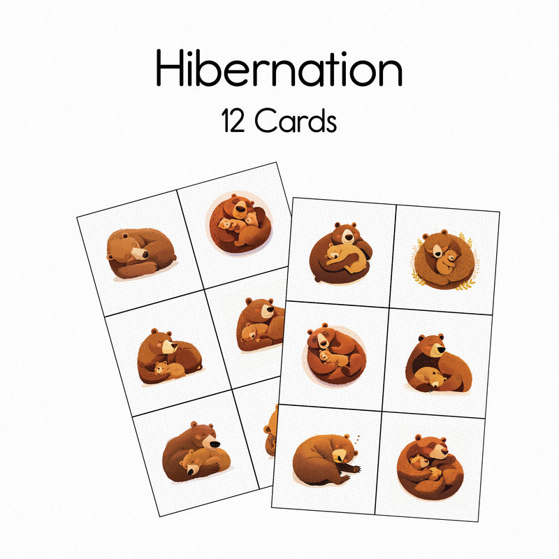 Hibernation - Card Pack