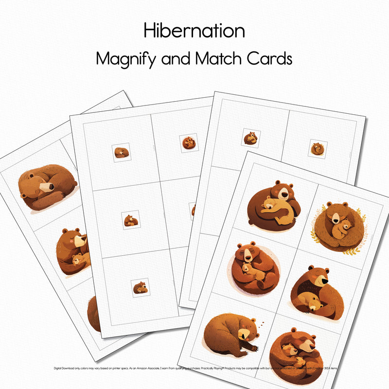 Hibernation - Magnify and Match Cards