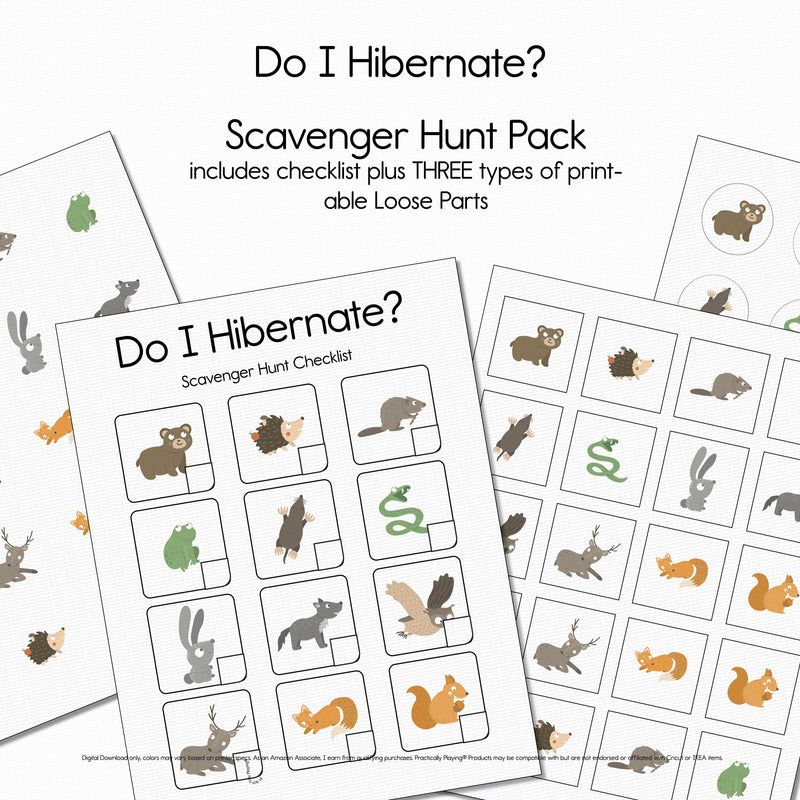 Do I Hibernate? - Scavenger Hunt