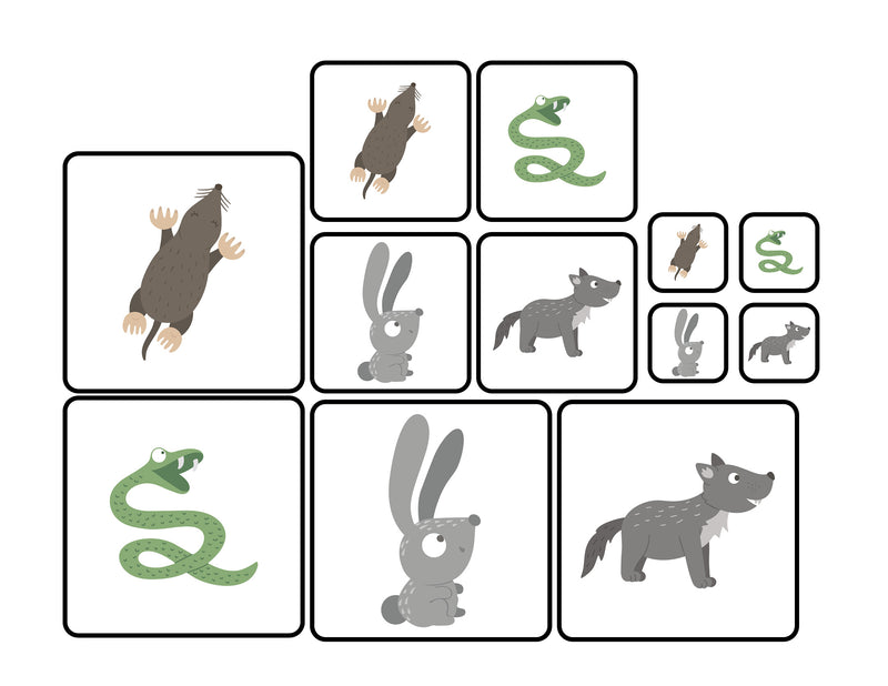 Do I Hibernate? - Sorting Activity Mats with Loose Parts