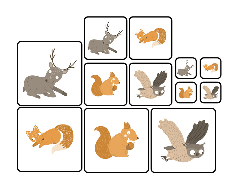 Do I Hibernate? - Sorting Activity Mats with Loose Parts