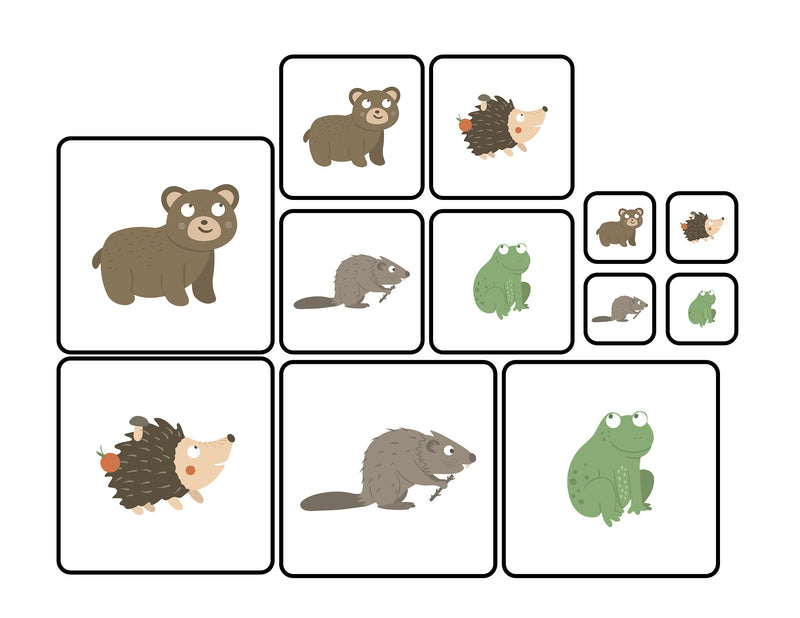 Do I Hibernate? - Sorting Activity Mats with Loose Parts