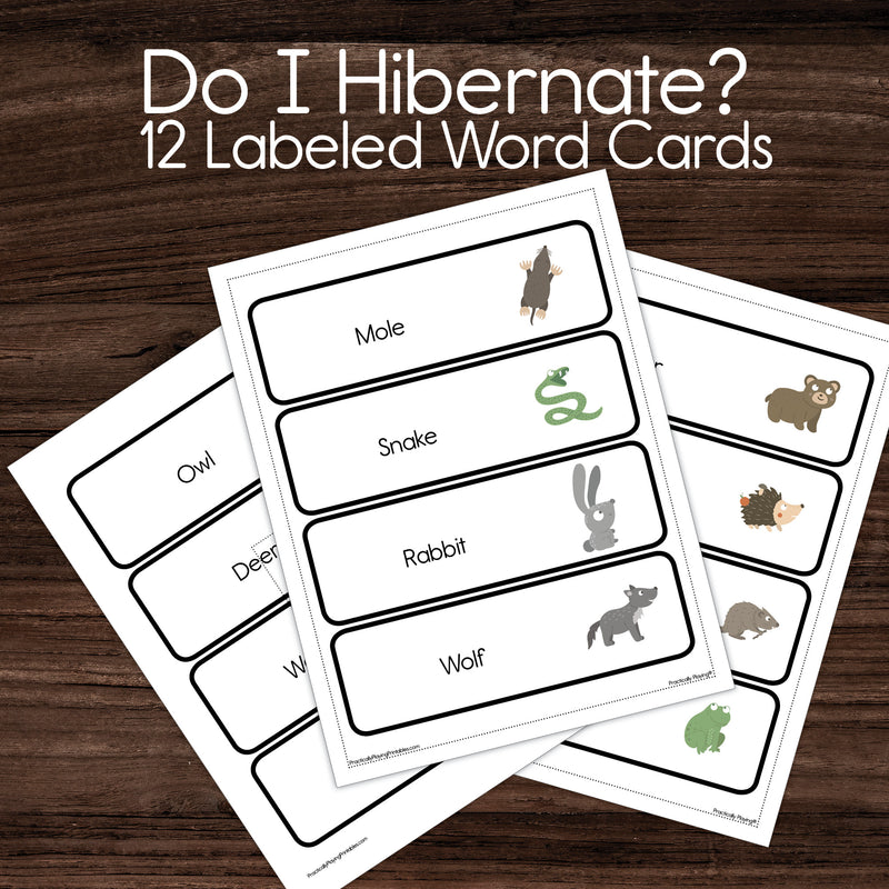 Do I Hibernate? - vocabulary words