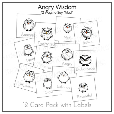 Angry Owls Game Essentials Pack- CRICUT PRINT AND CUT