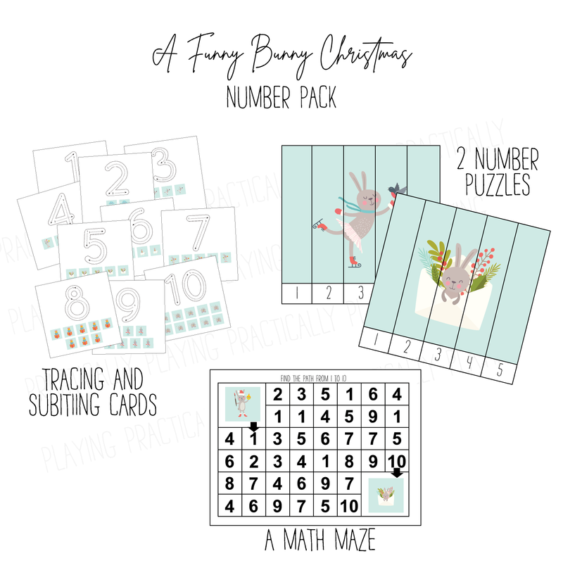Funny Bunny Christmas Number Pack