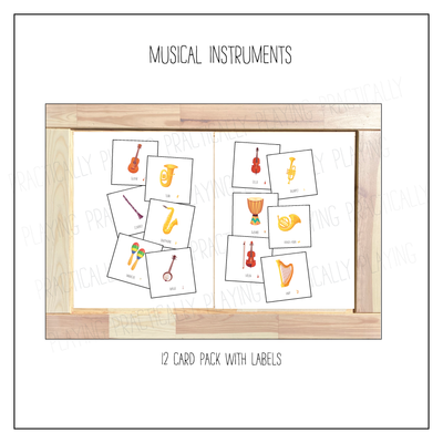 Musical Instruments Card Pack with Labeled Cards & Print and Fold Box