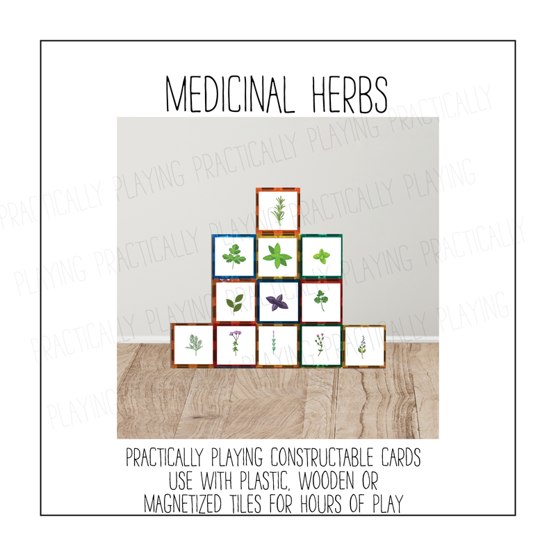 Medicinal Herbs Constructable Mini Pack