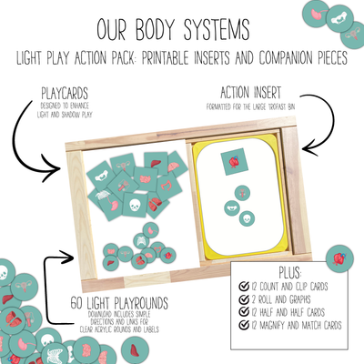 Our Body Systems Light PlayRound Pack
