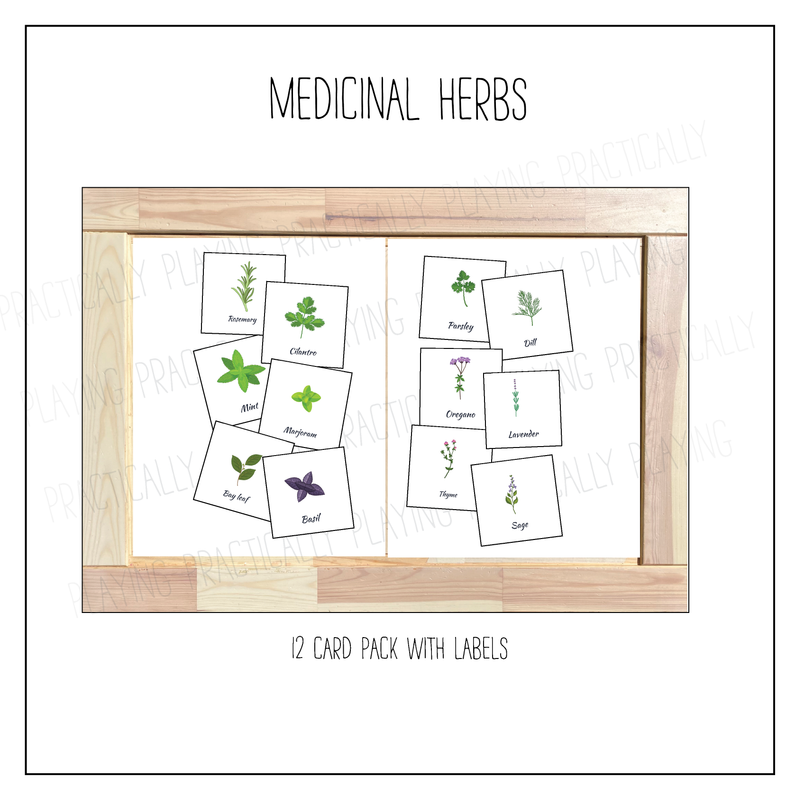 Medicinal Herbs Labeled Cards