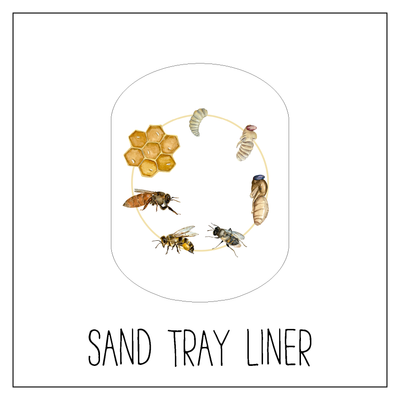 Bee Life Cycle Sand/Water Tray