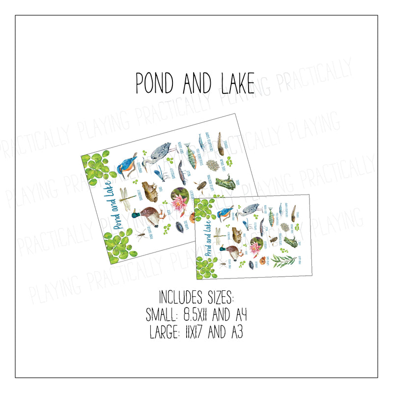 Ponds and Lakes Poster Pack