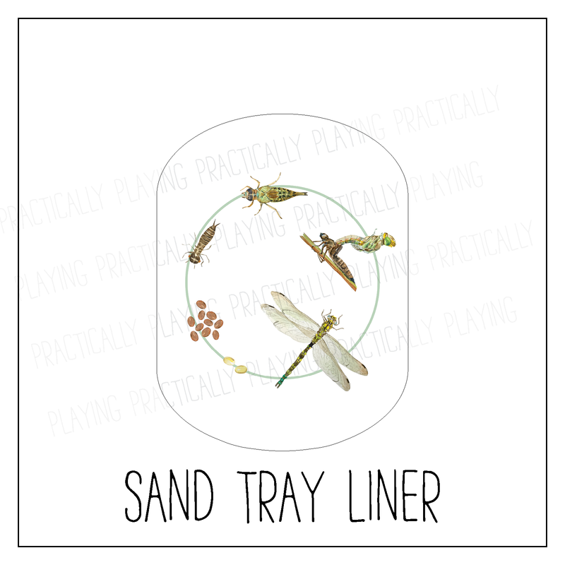 Dragonfly Life Cycle Sand/Water Tray