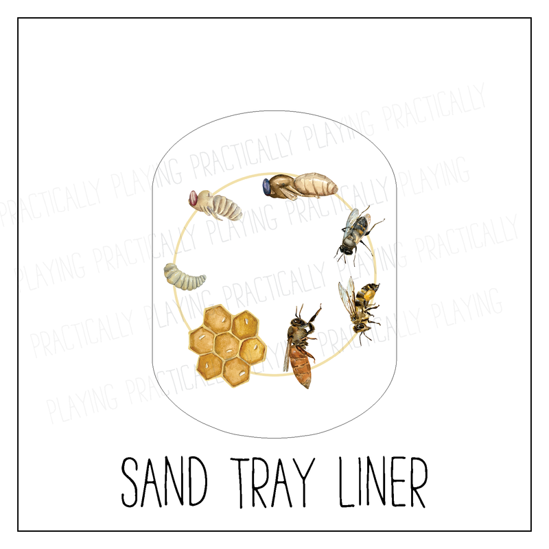 Bee Life Cycle Sand/Water Tray