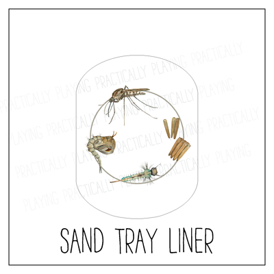 Mosquito Life Cycle Sand/Water Tray