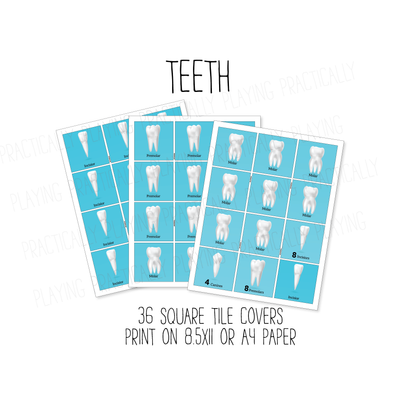 Teeth Constructable
