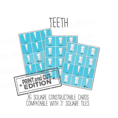 Teeth Constructable- Cricut Print and Cut Compatible