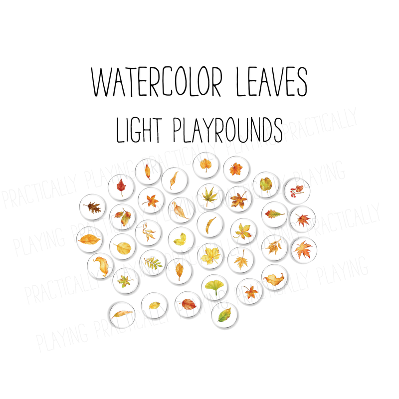 36 Autumn Watercolor Leaves Light PlayRound Pack
