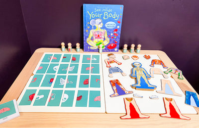 Our Body Systems Card Pack with Labeled Cards & Print and Fold Box