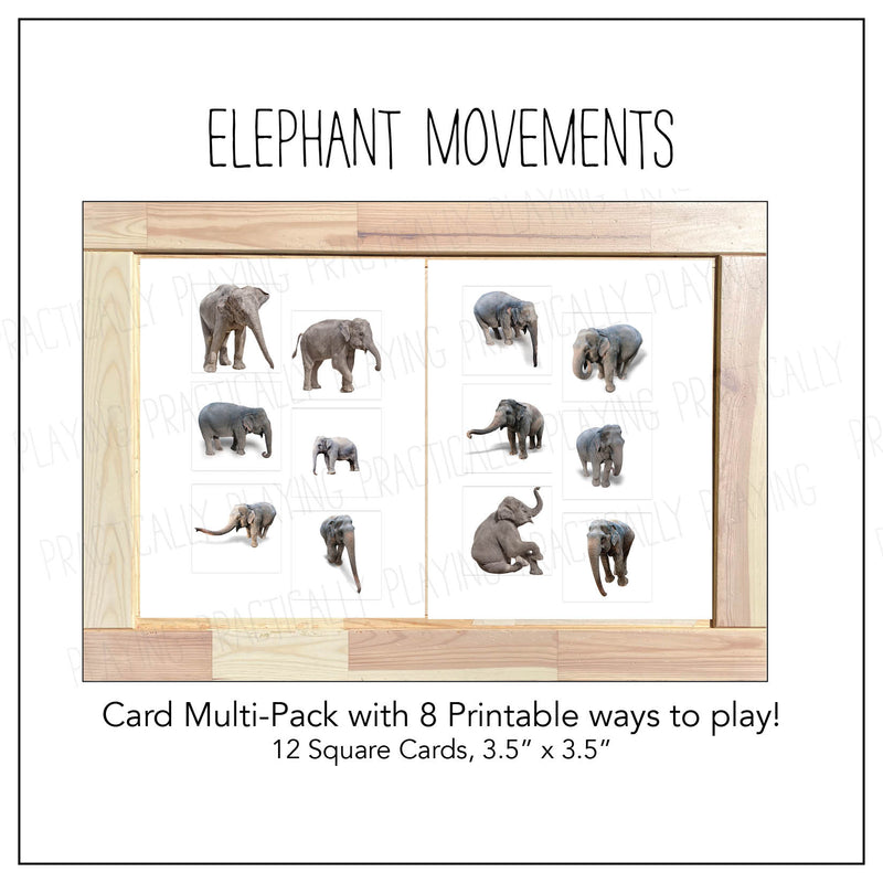Elephant Movement Card Pack