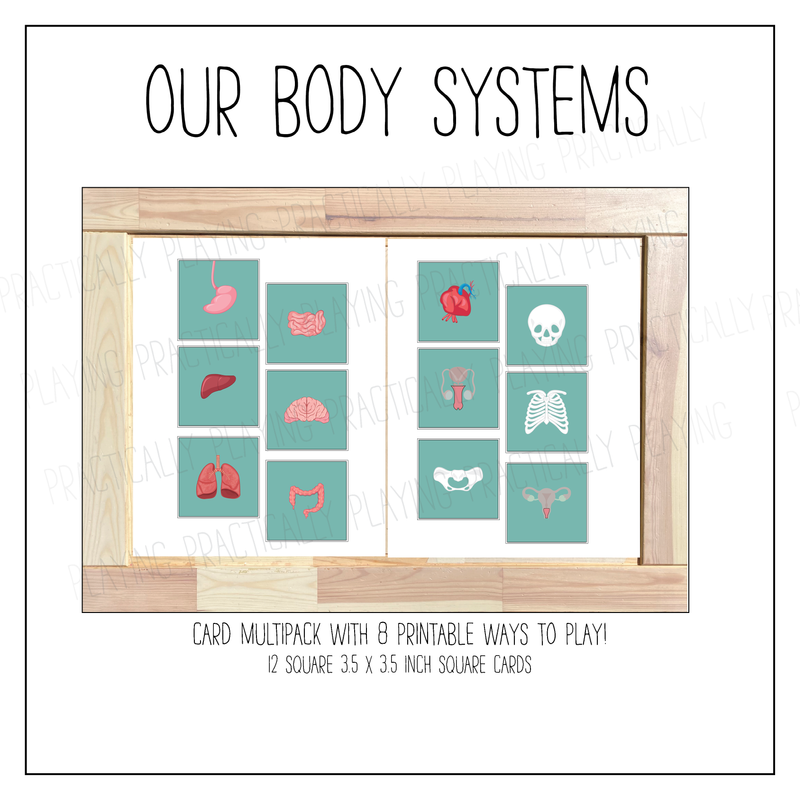 Our Body Systems Card Pack with Labeled Cards & Print and Fold Box