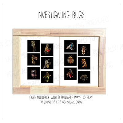 Investigating Bugs Card Pack & Print and Fold Box