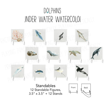 Dolphins and Aquatic Animals- Underwater Watercolors Card Pack