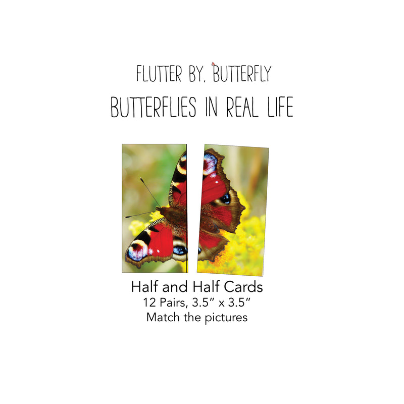 Flutter By, Butterfly Card Pack 1