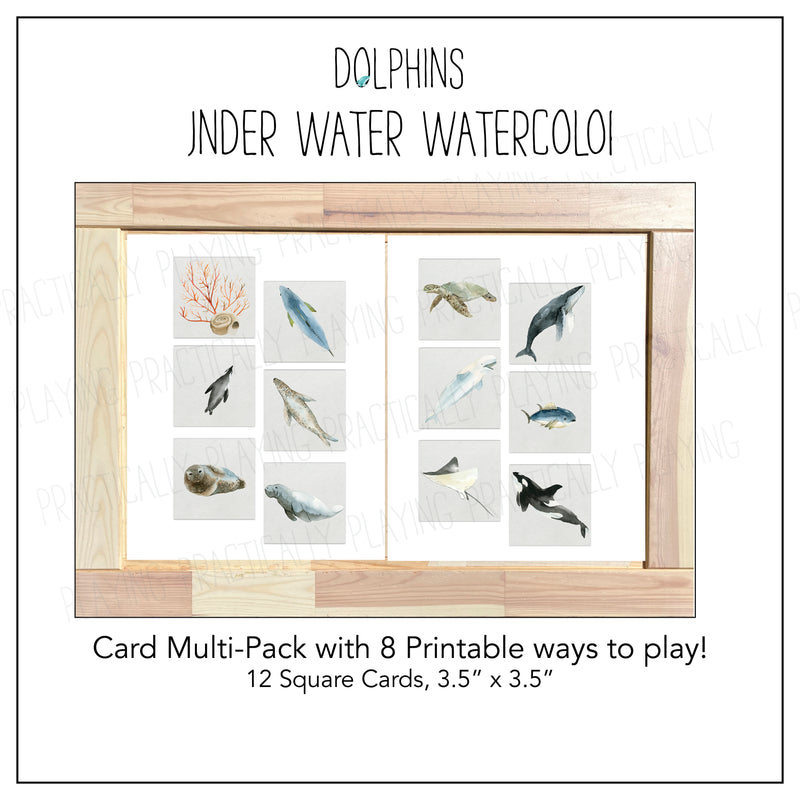 Dolphins and Aquatic Animals- Underwater Watercolors Card Pack