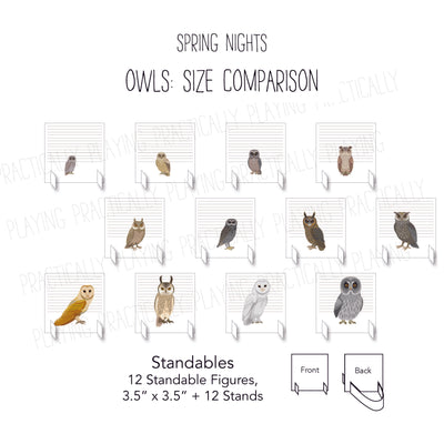 Spring Nights Card Pack- Owl Comparison