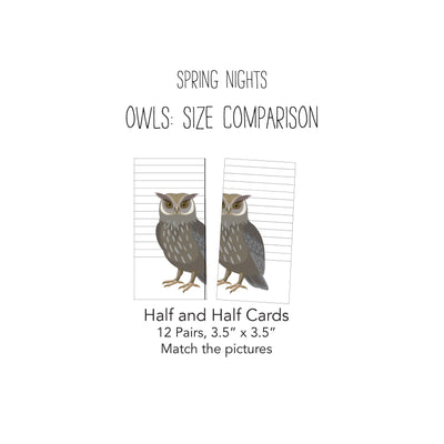 Spring Nights Card Pack- Owl Comparison