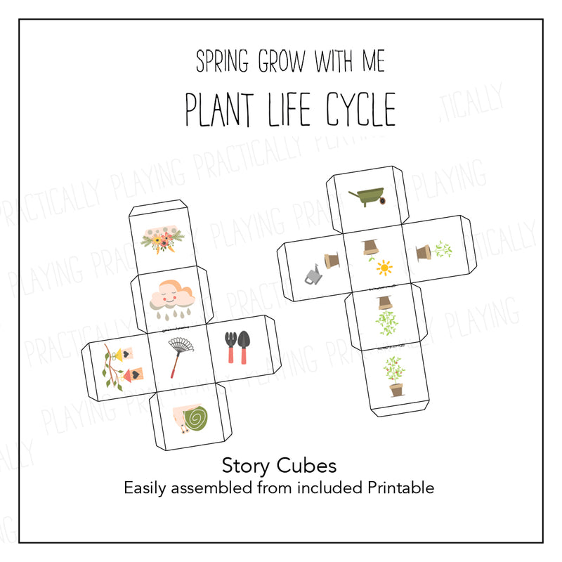 Spring Grow with Me Card Pack: Plant Life Cycle Cards