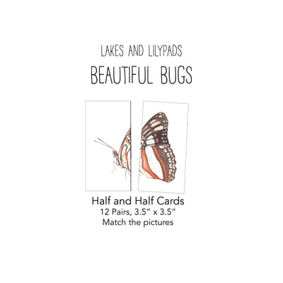 Beautiful Bugs Card Pack