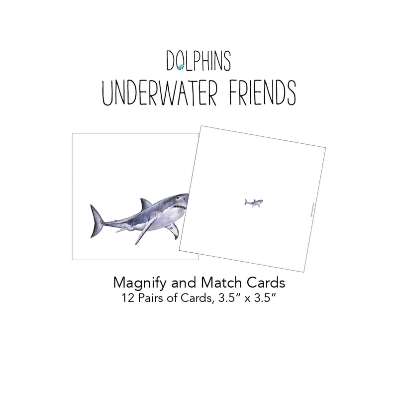 Dolphins: Underwater Friends Card Pack