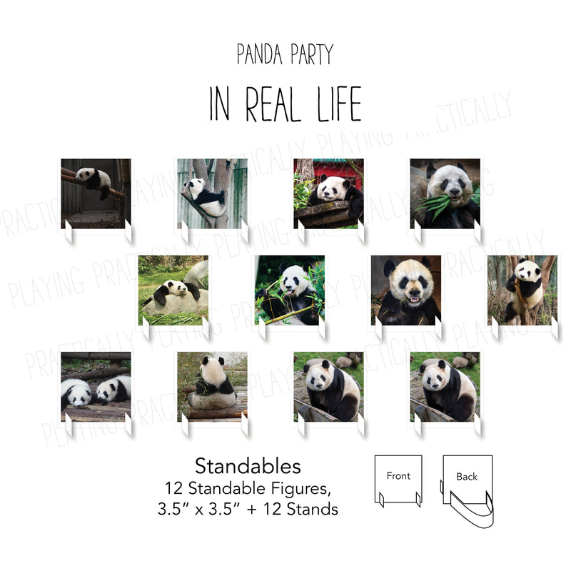 Pandas in Real Life