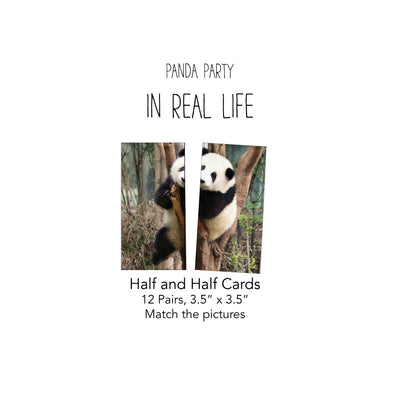 Pandas in Real Life